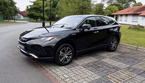 国产cdts,引领科技潮流的创新力量