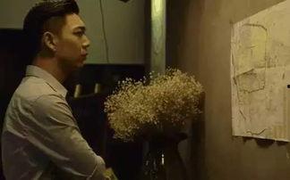 国产国语毛片,揭秘国产影视作品的独特魅力